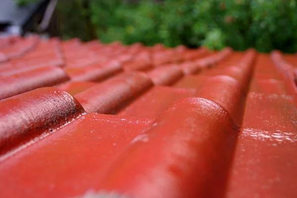 Finding a Reliable Roof Replacement Contractor in Your Area