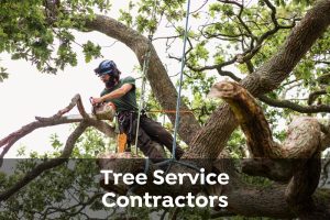 Residential and Commercial Tree Service in Shelton